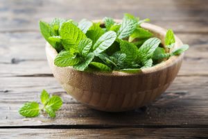 Tanaman Herbal untuk Membersihkan Rumah: Bagian 2